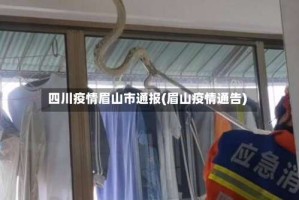 四川疫情眉山市通报(眉山疫情通告)