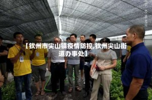 【钦州市尖山镇疫情防控,钦州尖山街道办事处】