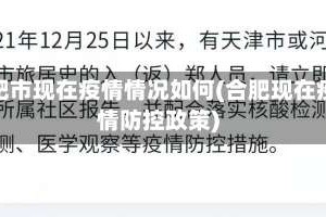 合肥市现在疫情情况如何(合肥现在疫情防控政策)