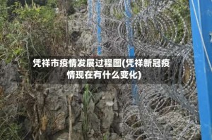 凭祥市疫情发展过程图(凭祥新冠疫情现在有什么变化)