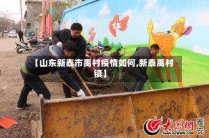 【山东新泰市禹村疫情如何,新泰禹村镇】