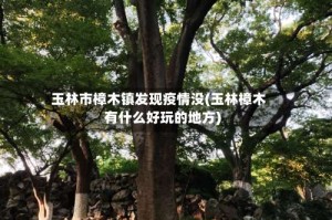 玉林市樟木镇发现疫情没(玉林樟木有什么好玩的地方)