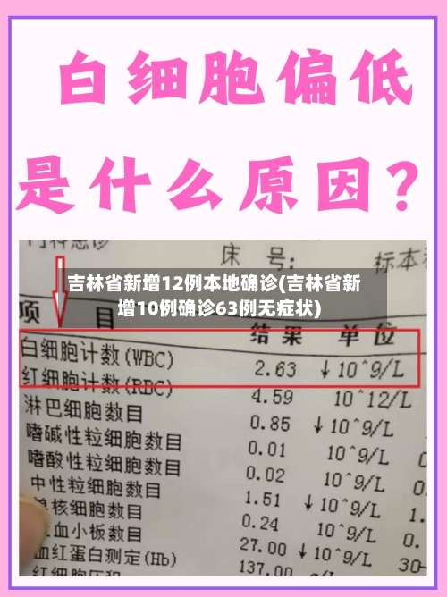 吉林省新增12例本地确诊(吉林省新增10例确诊63例无症状)-第1张图片