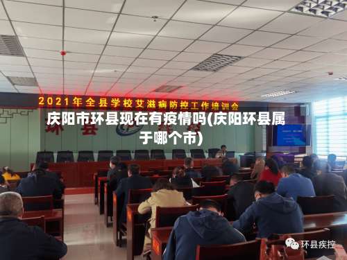 庆阳市环县现在有疫情吗(庆阳环县属于哪个市)-第1张图片