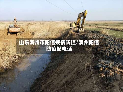 山东滨州市阳信疫情防控/滨州阳信防疫站电话-第3张图片