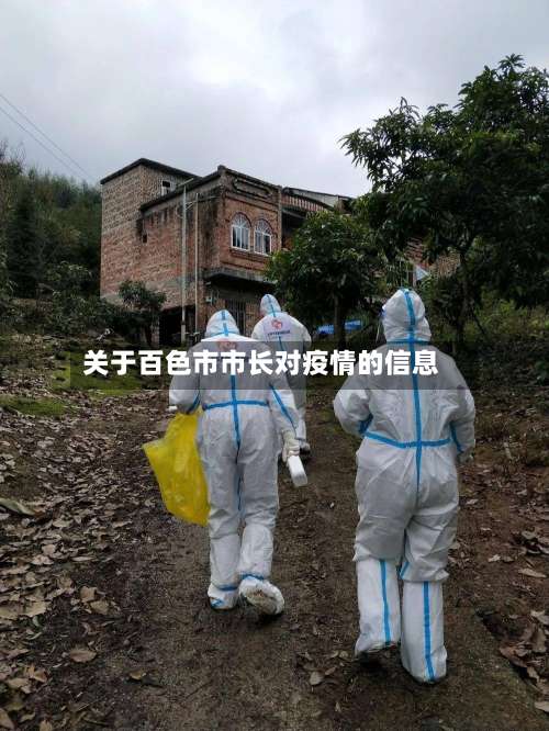 关于百色市市长对疫情的信息-第3张图片