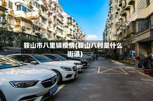 鞍山市八里镇疫情(鞍山八村是什么街道)-第2张图片