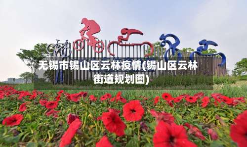 无锡市锡山区云林疫情(锡山区云林街道规划图)-第1张图片