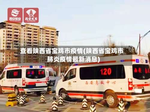查看陕西省宝鸡市疫情(陕西省宝鸡市肺炎疫情最新消息)-第2张图片