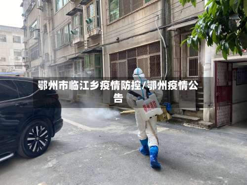 鄂州市临江乡疫情防控/鄂州疫情公告-第1张图片
