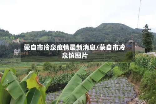 蒙自市冷泉疫情最新消息/蒙自市冷泉镇图片-第3张图片