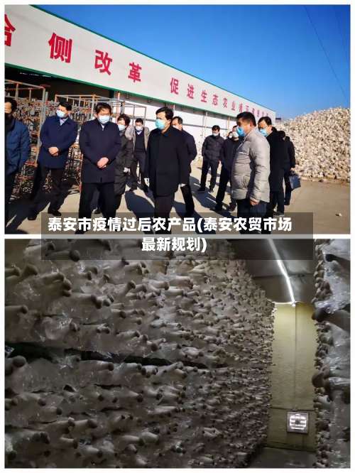 泰安市疫情过后农产品(泰安农贸市场最新规划)-第2张图片